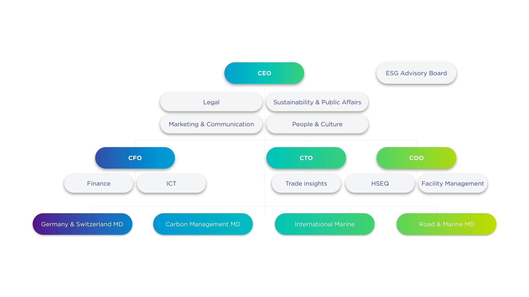 Organogram-2025
