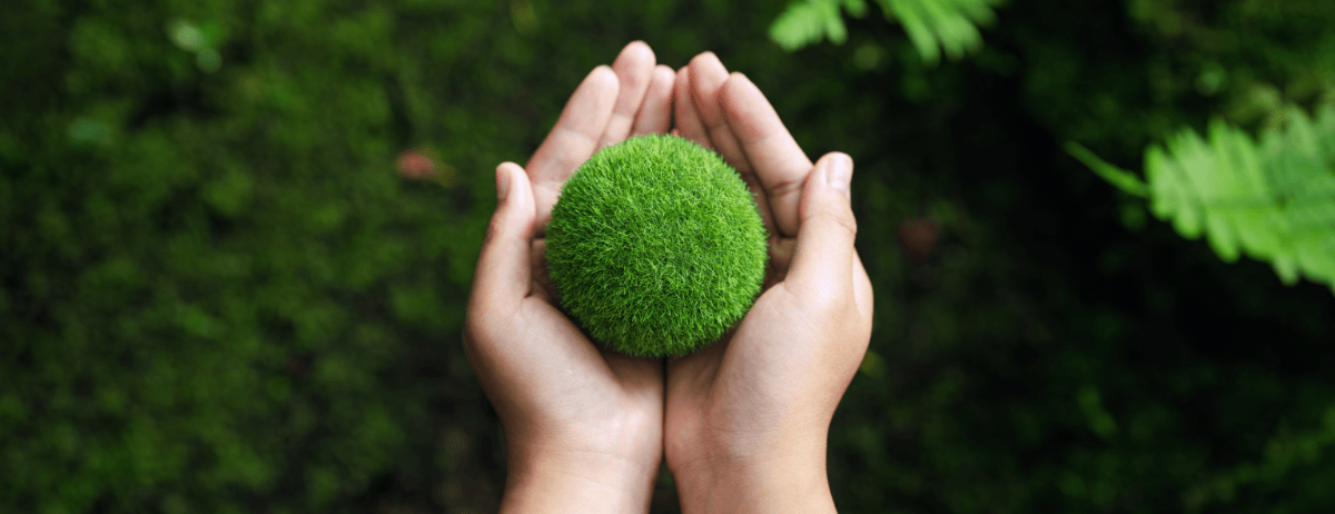 6 reasons the world needs carbon credits landscape